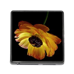 Ranunculus Yellow Orange Blossom Memory Card Reader (square) by Nexatart