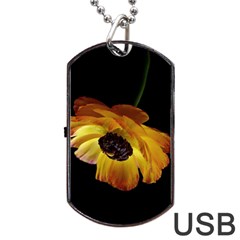 Ranunculus Yellow Orange Blossom Dog Tag Usb Flash (two Sides) by Nexatart