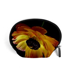 Ranunculus Yellow Orange Blossom Accessory Pouches (small)  by Nexatart