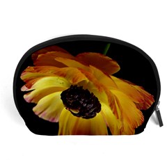 Ranunculus Yellow Orange Blossom Accessory Pouches (large)  by Nexatart