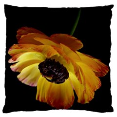 Ranunculus Yellow Orange Blossom Large Flano Cushion Case (two Sides) by Nexatart