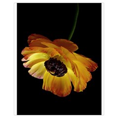 Ranunculus Yellow Orange Blossom Drawstring Bag (small) by Nexatart