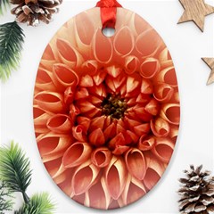 Dahlia Flower Joy Nature Luck Ornament (oval) by Nexatart