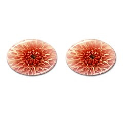 Dahlia Flower Joy Nature Luck Cufflinks (oval) by Nexatart