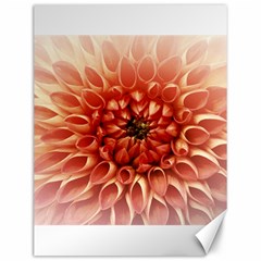 Dahlia Flower Joy Nature Luck Canvas 12  X 16   by Nexatart