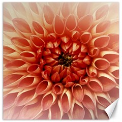 Dahlia Flower Joy Nature Luck Canvas 20  X 20   by Nexatart