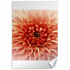 Dahlia Flower Joy Nature Luck Canvas 20  X 30   by Nexatart