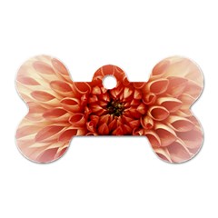 Dahlia Flower Joy Nature Luck Dog Tag Bone (two Sides)