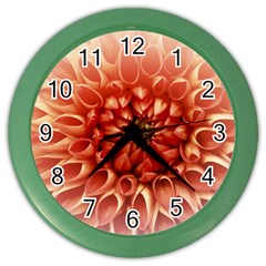 Dahlia Flower Joy Nature Luck Color Wall Clocks