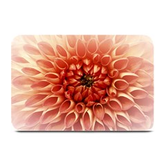 Dahlia Flower Joy Nature Luck Plate Mats by Nexatart