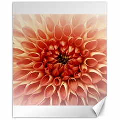 Dahlia Flower Joy Nature Luck Canvas 11  X 14   by Nexatart