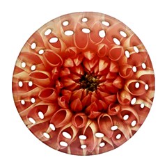 Dahlia Flower Joy Nature Luck Round Filigree Ornament (two Sides) by Nexatart