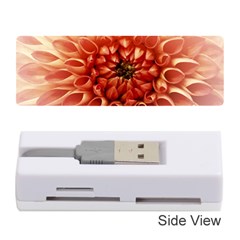 Dahlia Flower Joy Nature Luck Memory Card Reader (stick) 