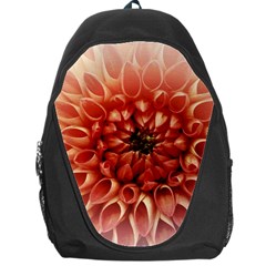 Dahlia Flower Joy Nature Luck Backpack Bag by Nexatart