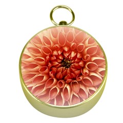 Dahlia Flower Joy Nature Luck Gold Compasses by Nexatart