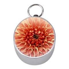 Dahlia Flower Joy Nature Luck Mini Silver Compasses by Nexatart