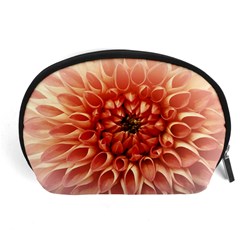 Dahlia Flower Joy Nature Luck Accessory Pouches (large)  by Nexatart