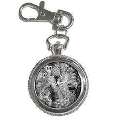 Pineapple Market Fruit Food Fresh Key Chain Watches by Nexatart