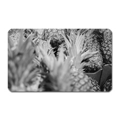 Pineapple Market Fruit Food Fresh Magnet (rectangular)