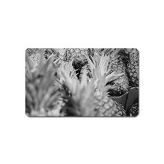 Pineapple Market Fruit Food Fresh Magnet (name Card)