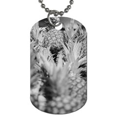 Pineapple Market Fruit Food Fresh Dog Tag (two Sides)