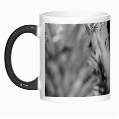 Pineapple Market Fruit Food Fresh Morph Mugs by Nexatart