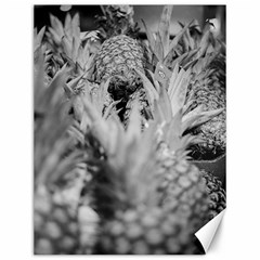 Pineapple Market Fruit Food Fresh Canvas 12  X 16   by Nexatart