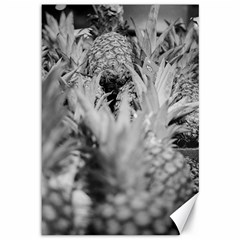 Pineapple Market Fruit Food Fresh Canvas 12  X 18   by Nexatart