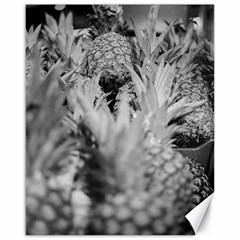 Pineapple Market Fruit Food Fresh Canvas 16  X 20   by Nexatart