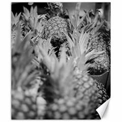 Pineapple Market Fruit Food Fresh Canvas 20  X 24   by Nexatart