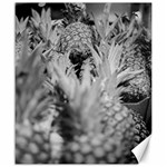 Pineapple Market Fruit Food Fresh Canvas 20  x 24   19.57 x23.15  Canvas - 1