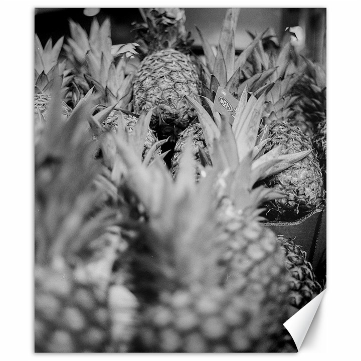 Pineapple Market Fruit Food Fresh Canvas 20  x 24  