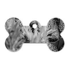 Pineapple Market Fruit Food Fresh Dog Tag Bone (one Side) by Nexatart