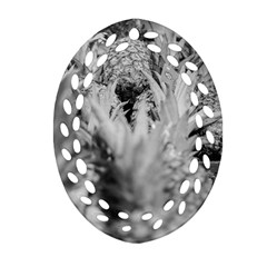 Pineapple Market Fruit Food Fresh Ornament (oval Filigree) by Nexatart