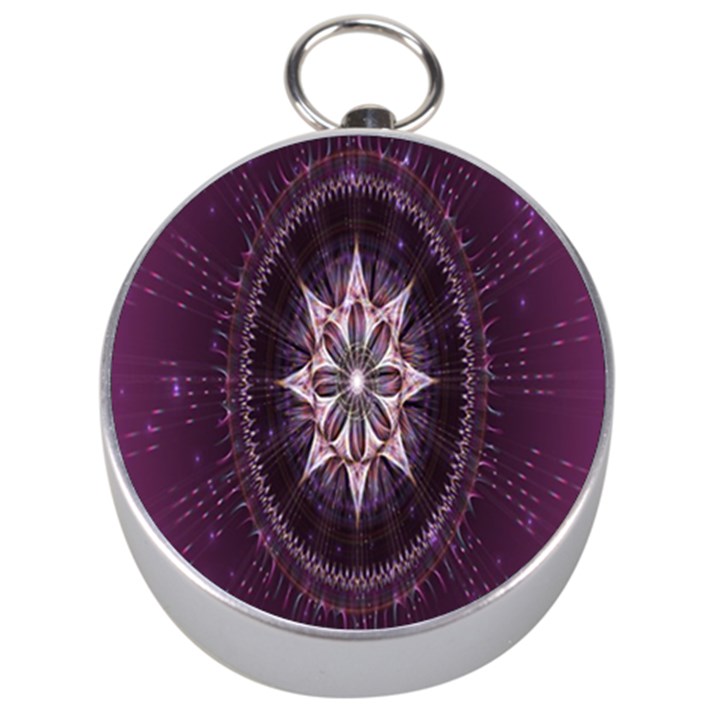 Flower Twirl Star Space Purple Silver Compasses