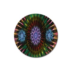 Flower Stigma Colorful Rainbow Animation Gold Space Magnet 3  (round) by Mariart