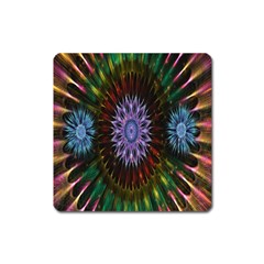 Flower Stigma Colorful Rainbow Animation Gold Space Square Magnet by Mariart