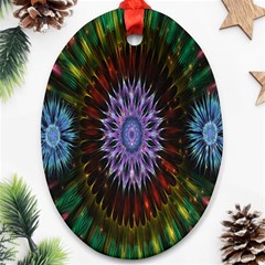 Flower Stigma Colorful Rainbow Animation Gold Space Oval Ornament (two Sides) by Mariart