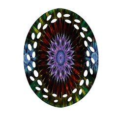 Flower Stigma Colorful Rainbow Animation Gold Space Oval Filigree Ornament (two Sides)