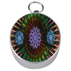 Flower Stigma Colorful Rainbow Animation Gold Space Silver Compasses by Mariart