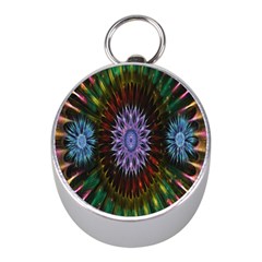 Flower Stigma Colorful Rainbow Animation Gold Space Mini Silver Compasses by Mariart