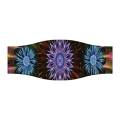 Flower Stigma Colorful Rainbow Animation Gold Space Stretchable Headband