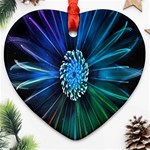 Flower Stigma Colorful Rainbow Animation Space Ornament (Heart) Front