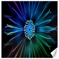 Flower Stigma Colorful Rainbow Animation Space Canvas 12  X 12  