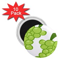 Fruit Green Grape 1 75  Magnets (10 Pack) 