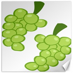 Fruit Green Grape Canvas 12  X 12   by Mariart