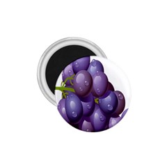 Grape Fruit 1 75  Magnets