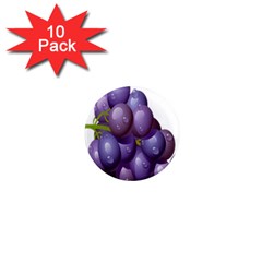 Grape Fruit 1  Mini Magnet (10 Pack) 