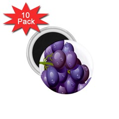 Grape Fruit 1 75  Magnets (10 Pack) 