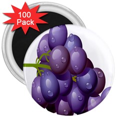 Grape Fruit 3  Magnets (100 Pack)